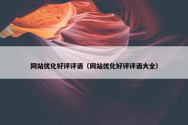 网站优化好评评语（网站优化好评评语大全）