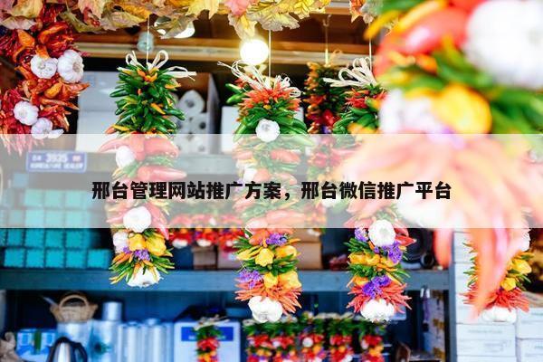 邢台管理网站推广方案，邢台微信推广平台