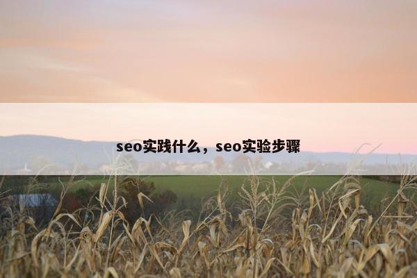 seo实践什么，seo实验步骤