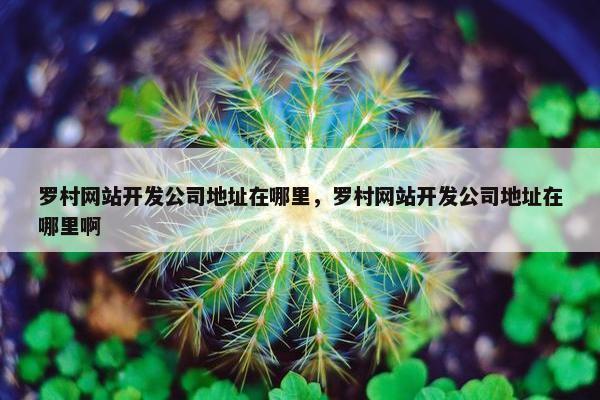 罗村网站开发公司地址在哪里，罗村网站开发公司地址在哪里啊