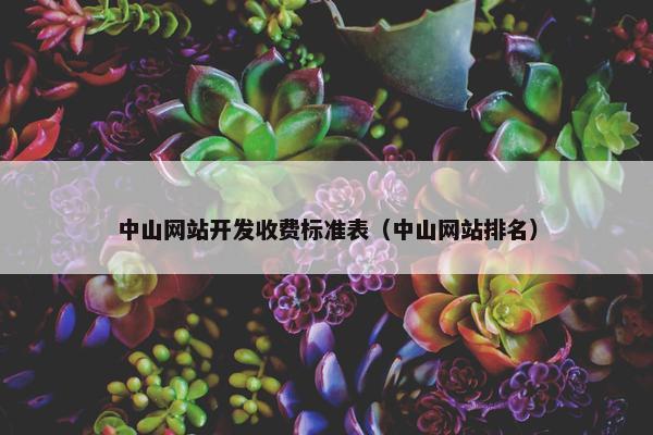 中山网站开发收费标准表（中山网站排名）