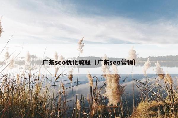 广东seo优化教程（广东seo营销）