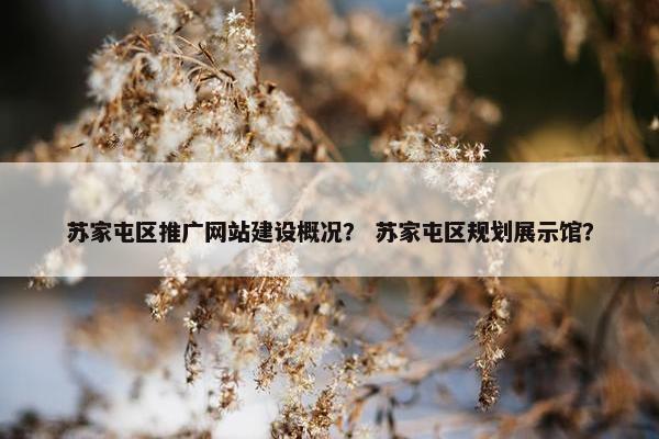 苏家屯区推广网站建设概况？ 苏家屯区规划展示馆？