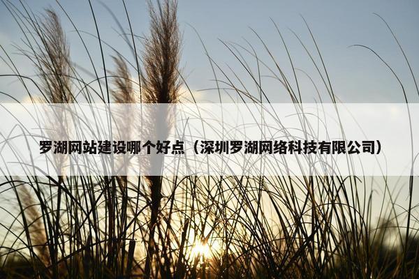 罗湖网站建设哪个好点（深圳罗湖网络科技有限公司）