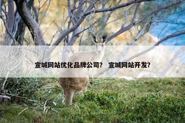 宣城网站优化品牌公司？ 宣城网站开发？