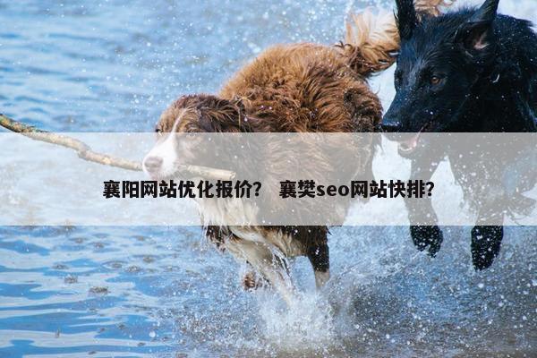 襄阳网站优化报价？ 襄樊seo网站快排？