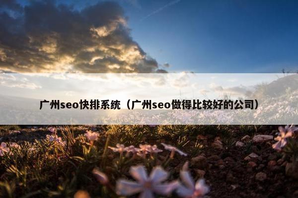广州seo快排系统（广州seo做得比较好的公司）