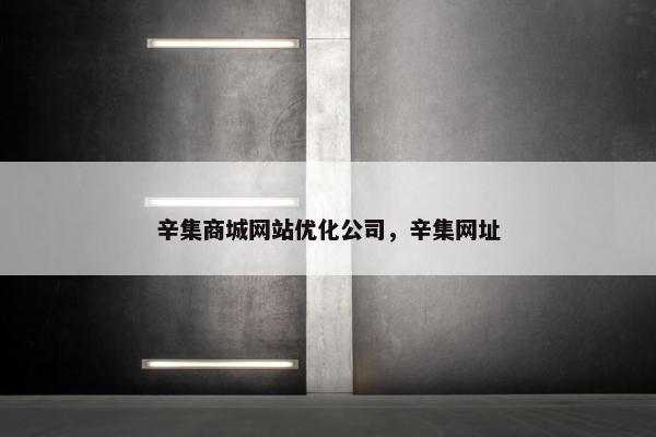 辛集商城网站优化公司，辛集网址