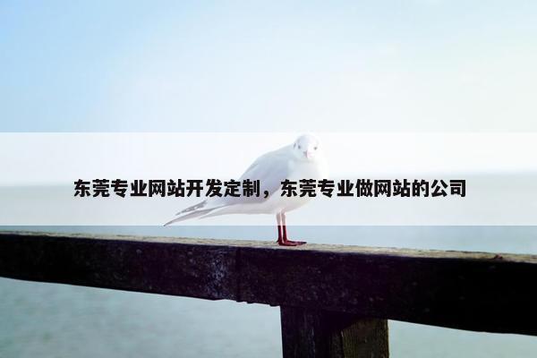 东莞专业网站开发定制，东莞专业做网站的公司