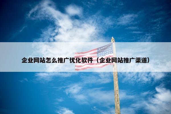 企业网站怎么推广优化软件（企业网站推广渠道）