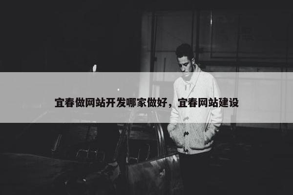 宜春做网站开发哪家做好，宜春网站建设
