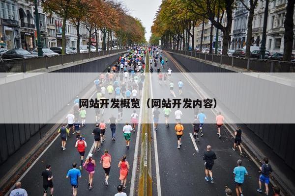 网站开发概览（网站开发内容）