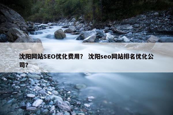 沈阳网站SEO优化费用？ 沈阳seo网站排名优化公司？