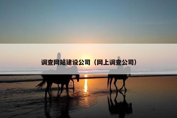 调查网站建设公司（网上调查公司）