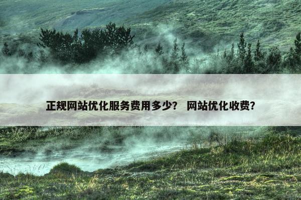 正规网站优化服务费用多少？ 网站优化收费？