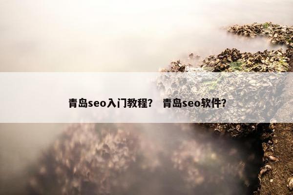 青岛seo入门教程？ 青岛seo软件？
