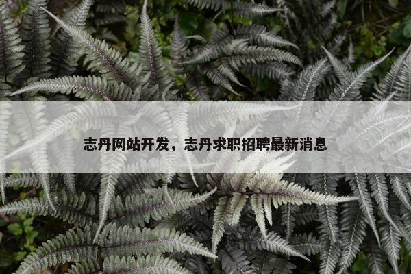 志丹网站开发，志丹求职招聘最新消息