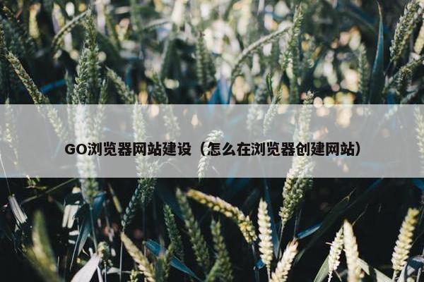 GO浏览器网站建设（怎么在浏览器创建网站）