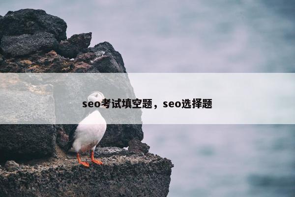 seo考试填空题，seo选择题