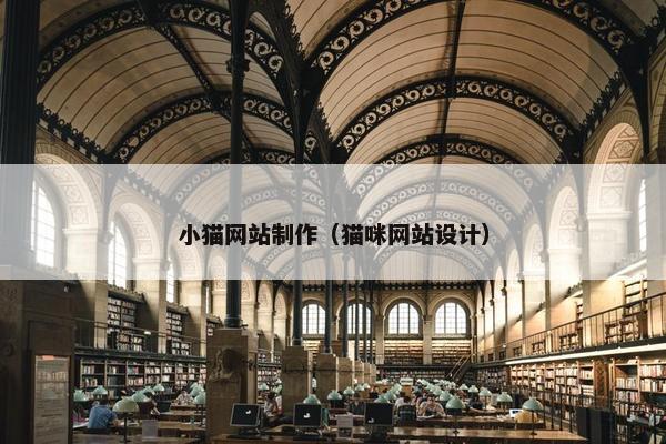 小猫网站制作（猫咪网站设计）