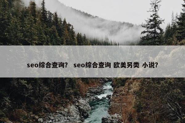 seo综合查询？ seo综合查询 欧美另类 小说？