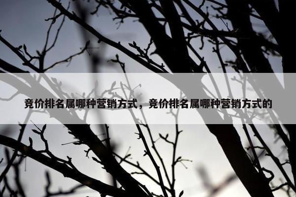 竞价排名属哪种营销方式，竞价排名属哪种营销方式的