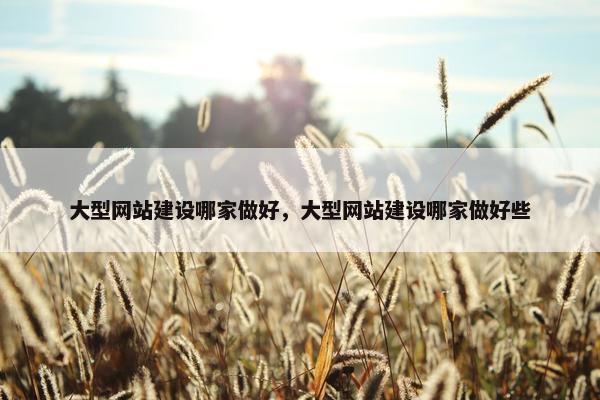 大型网站建设哪家做好，大型网站建设哪家做好些