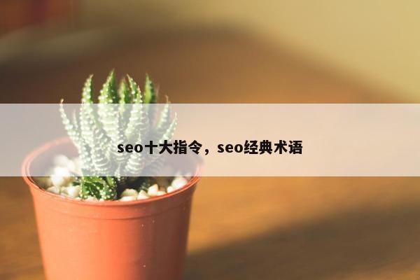 seo十大指令，seo经典术语