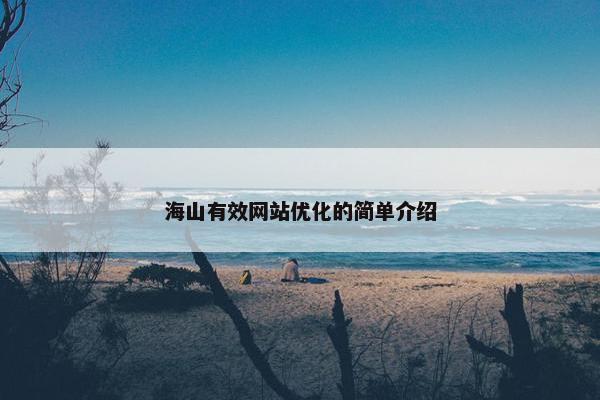 海山有效网站优化的简单介绍