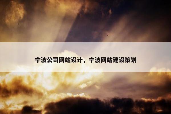 宁波公司网站设计，宁波网站建设策划