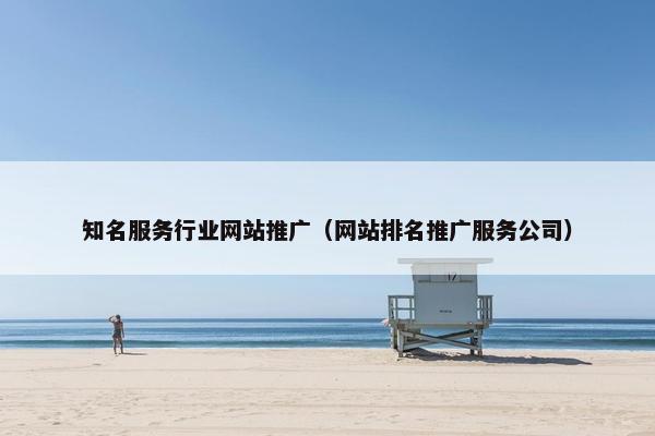 知名服务行业网站推广（网站排名推广服务公司）