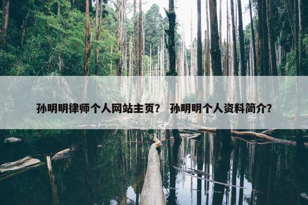 孙明明律师个人网站主页？ 孙明明个人资料简介？