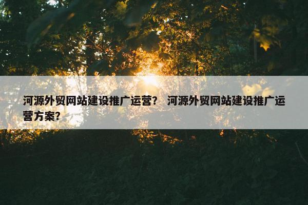 河源外贸网站建设推广运营？ 河源外贸网站建设推广运营方案？