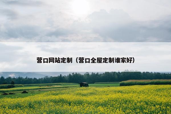 营口网站定制（营口全屋定制谁家好）