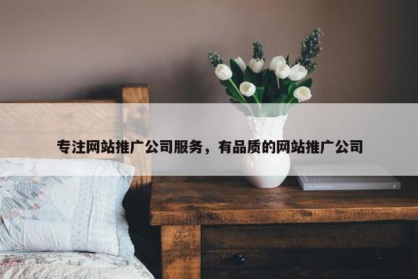 专注网站推广公司服务，有品质的网站推广公司