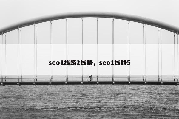 seo1线路2线路，seo1线路5