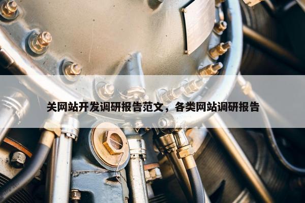 关网站开发调研报告范文，各类网站调研报告