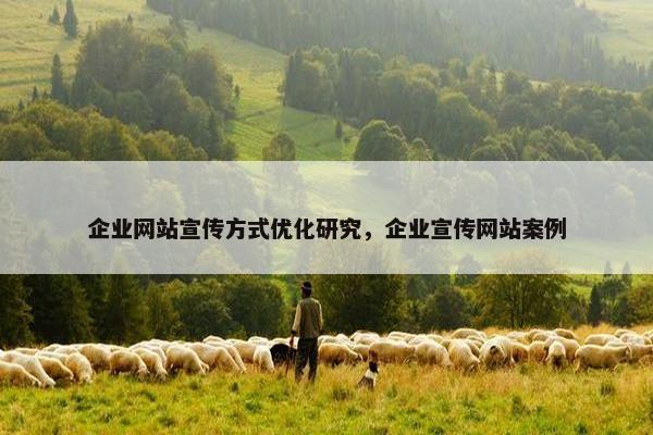 企业网站宣传方式优化研究，企业宣传网站案例