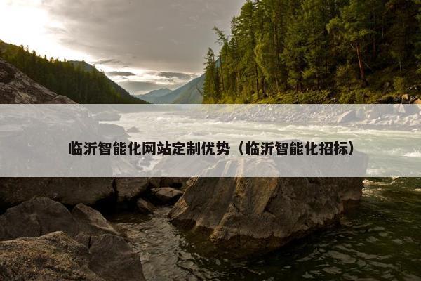 临沂智能化网站定制优势（临沂智能化招标）