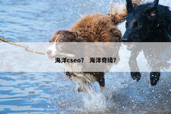 海洋cseo？ 海洋奇缘？
