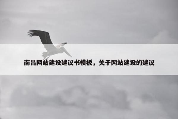 南昌网站建设建议书模板，关于网站建设的建议