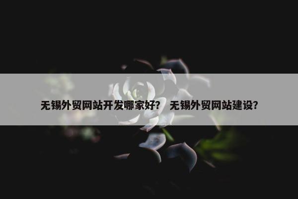 无锡外贸网站开发哪家好？ 无锡外贸网站建设？