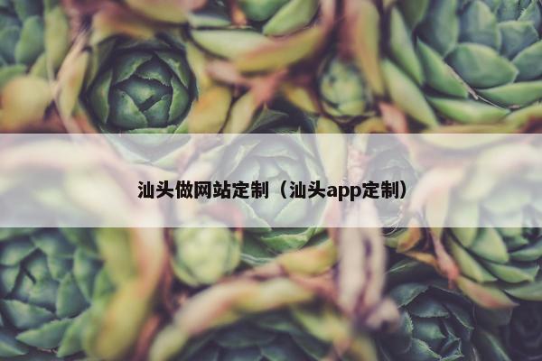 汕头做网站定制（汕头app定制）