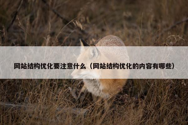 网站结构优化要注意什么（网站结构优化的内容有哪些）