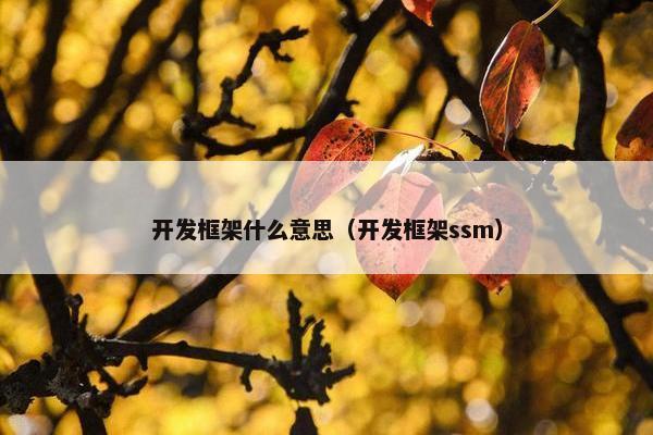 开发框架什么意思（开发框架ssm）