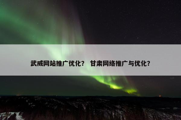 武威网站推广优化？ 甘肃网络推广与优化？