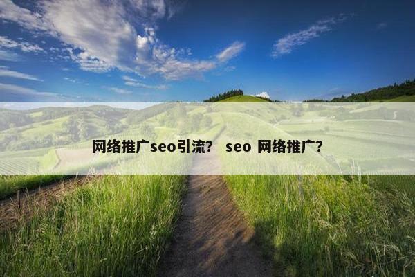 网络推广seo引流？ seo 网络推广？