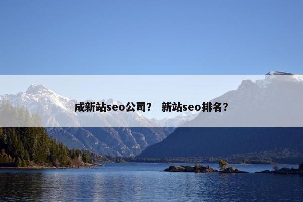 成新站seo公司？ 新站seo排名？