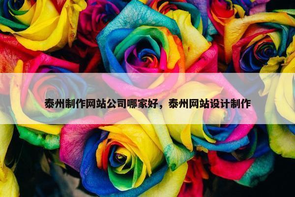 泰州制作网站公司哪家好，泰州网站设计制作