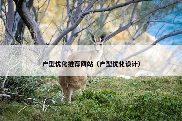 户型优化推荐网站（户型优化设计）